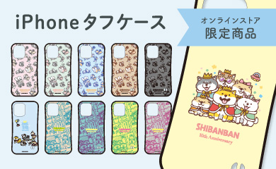 2602シュピネシール