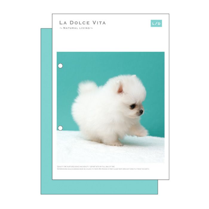 まめまめあにまる ステッカー 80950 ポメラニアン | マインドウェイブ