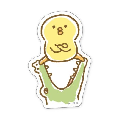 000000024293-01-m.jpg?t=