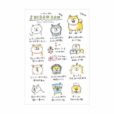 000000024407-01-m.jpg?t=