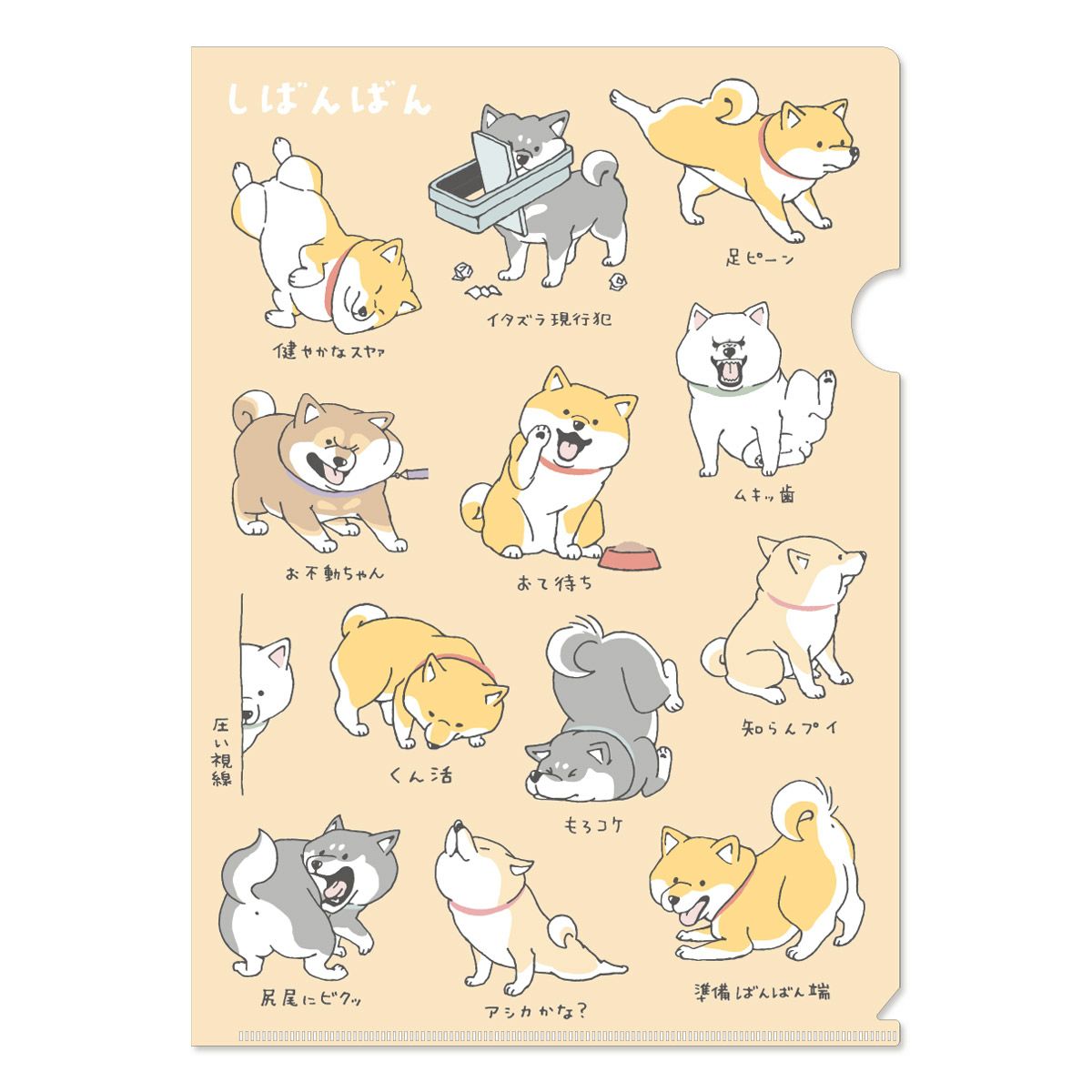 しばんばん 茶碗 95231 ごろりん | マインドウェイブオンラインストア