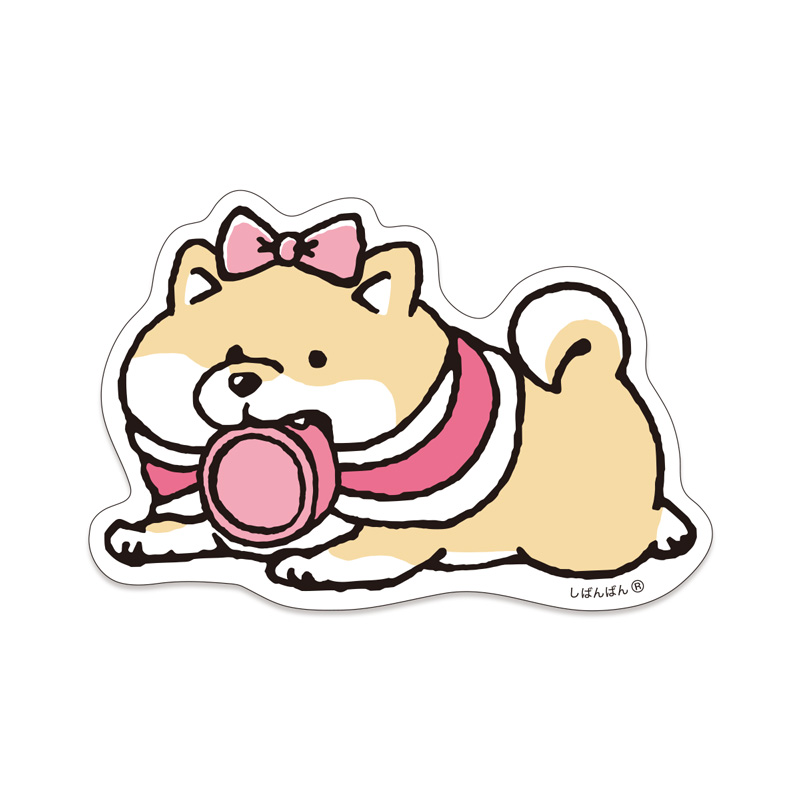 オンラインストア＆催事限定 しばんばん10周年 ステッカー ちゃし